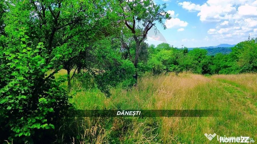 Teren intravilan 6115mp | Danesti, Maramures | Oportunita... - 4