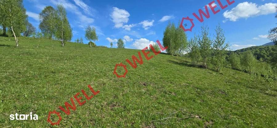 Teren de 1740 mp, în Vama Buzăului