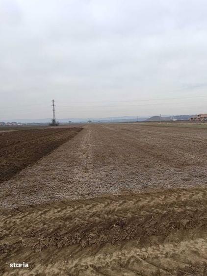 Teren de 4800 mp, în Mărăcineni