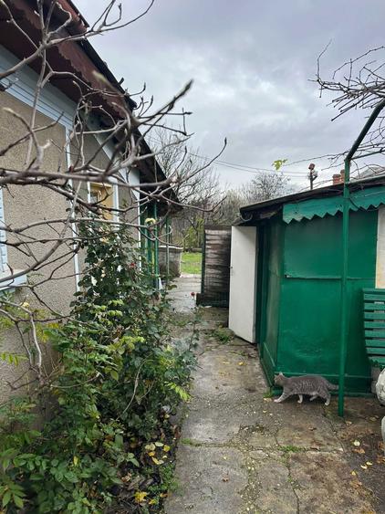 Casă cu 2 camere în Central