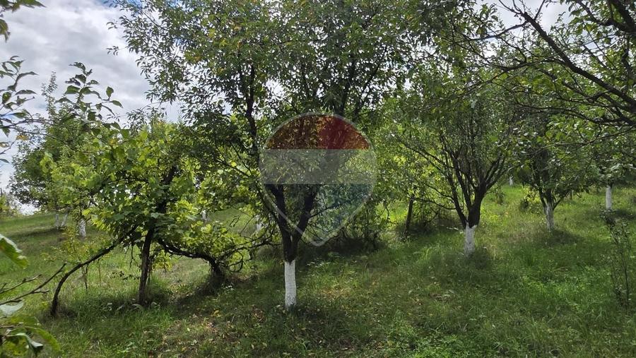 Casă individuală cu 2 camere cu Teren 2800 Mp în Elciu