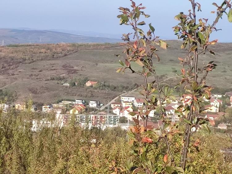Spațiu comercial, în Borhanci