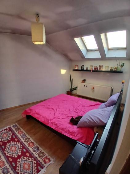 Apartament cu 2 camere semidecomandat în Snagov