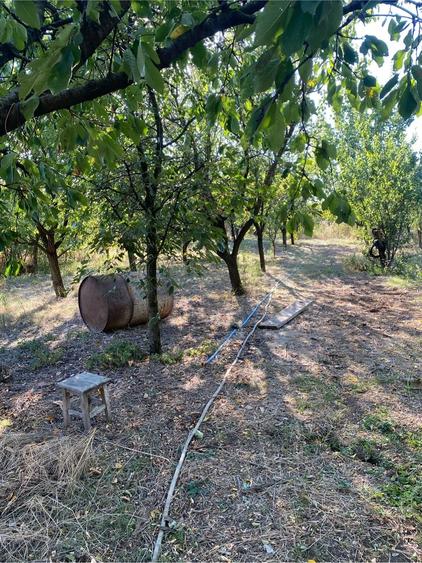 Casă cu 3 camere cu Teren 1600 Mp în Bujoreni