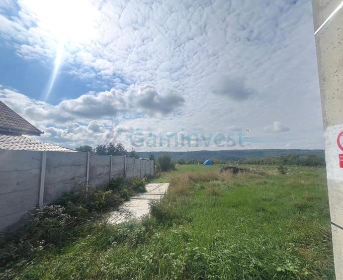 Teren Construcții intravilan de 3250 mp, în Betfia