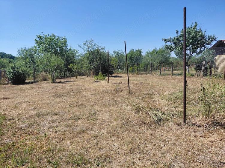 Casă cu 3 camere cu Teren 2224 Mp în Borș