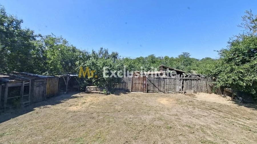Casă cu Teren 1667 Mp în Teiu