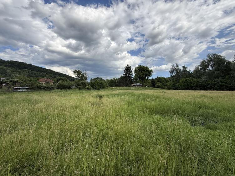 Teren Construcții intravilan de 3800 mp, în Provița de Sus