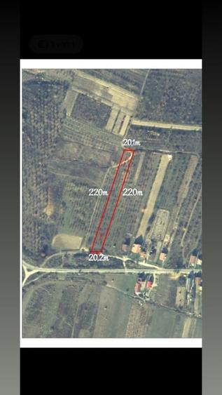 Teren Construcții intravilan de 4424 mp, în Călinești-Oaș