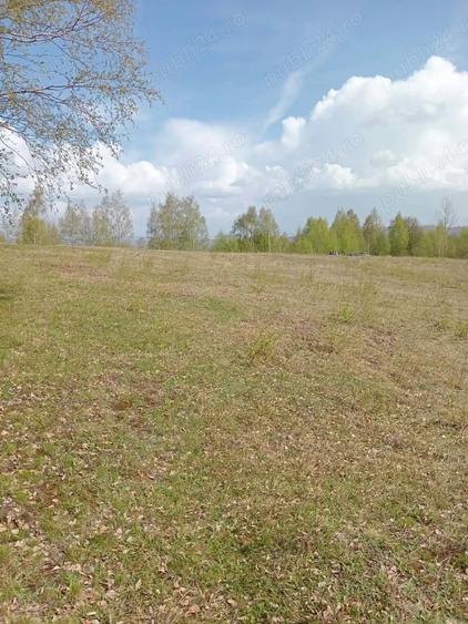 Teren de 10000 mp, în Târsa
