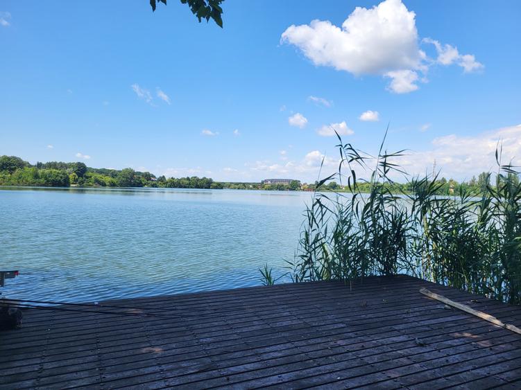 Teren agricol intravilan de 7000 mp, în Snagov