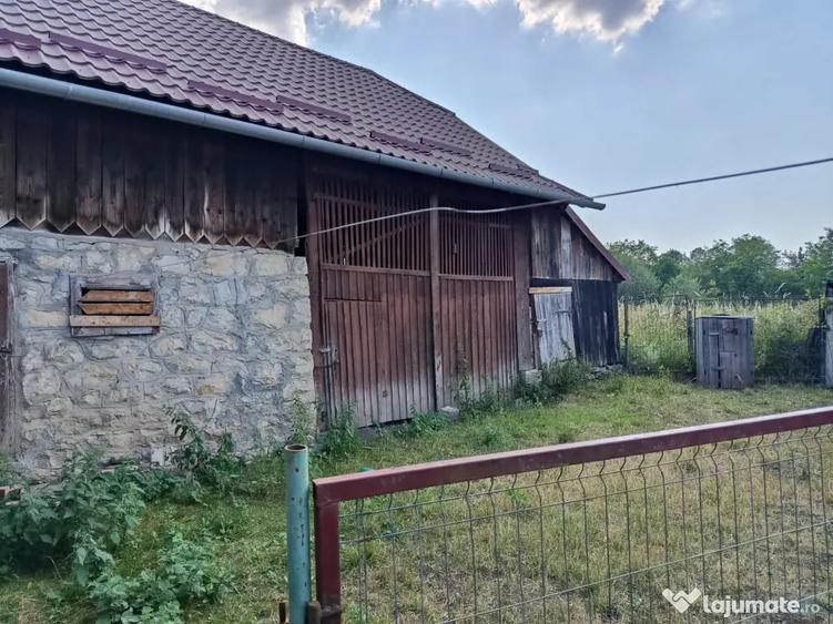 Casă cu 3 camere în Central