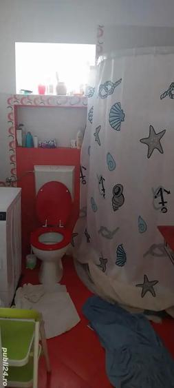 Vand urgent casa in comuna Seleu?.Pret.80000 euro Negociabil - 7
