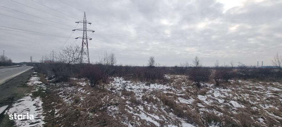 Teren de 60000 mp, în Bradu