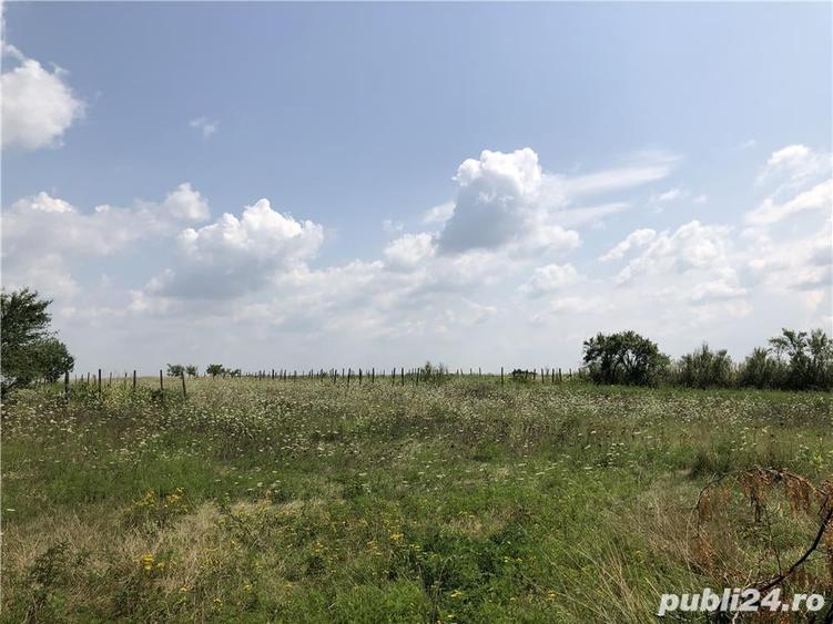 RATE-Teren 10000 mp Cosoveni-Dolj avans 30% - 6