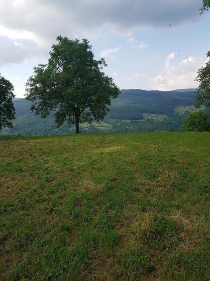 Teren de 2800 mp, în Talea