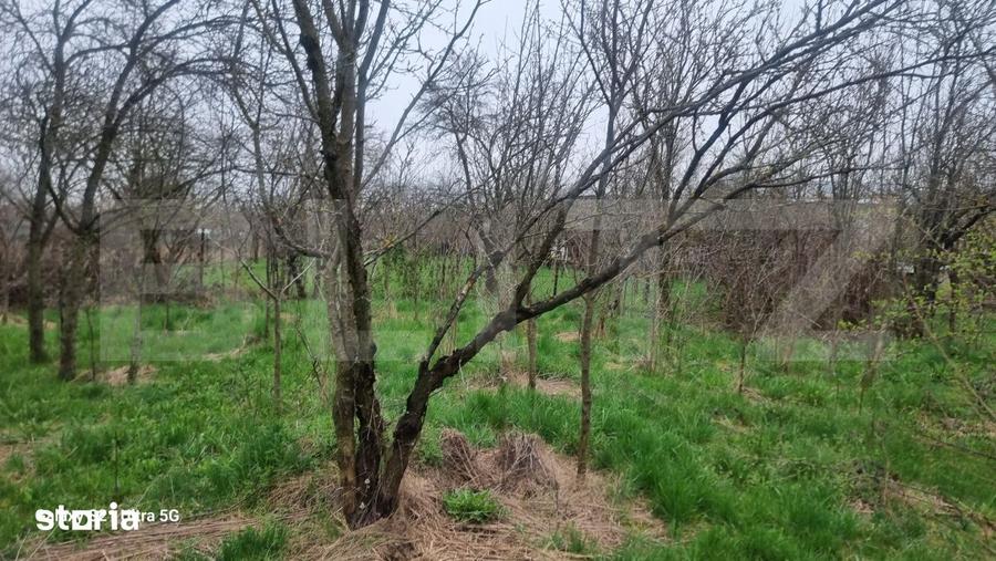 Casă cu 3 camere cu Teren 2058 Mp în Scorțeni