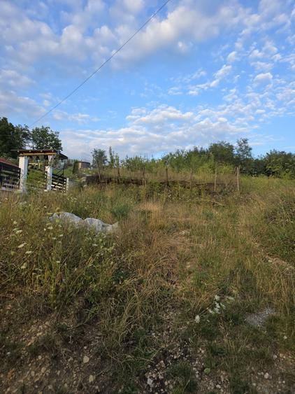 Spațiu comercial, în Central