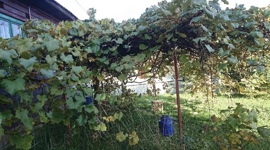 Casă cu 2 camere cu Teren 1500 Mp în Exterior Vest