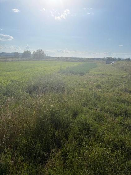 Teren Construcții intravilan de 2090 mp, în Filiași
