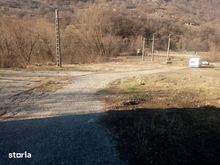 Teren de 7432 mp, în Sebeșel