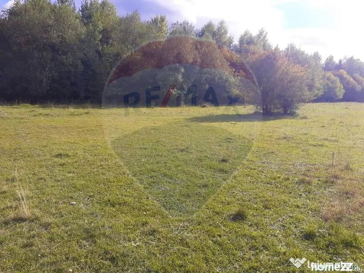Teren extravilan Rasnov , Glajerie-Str Poiana velicanului... - 13