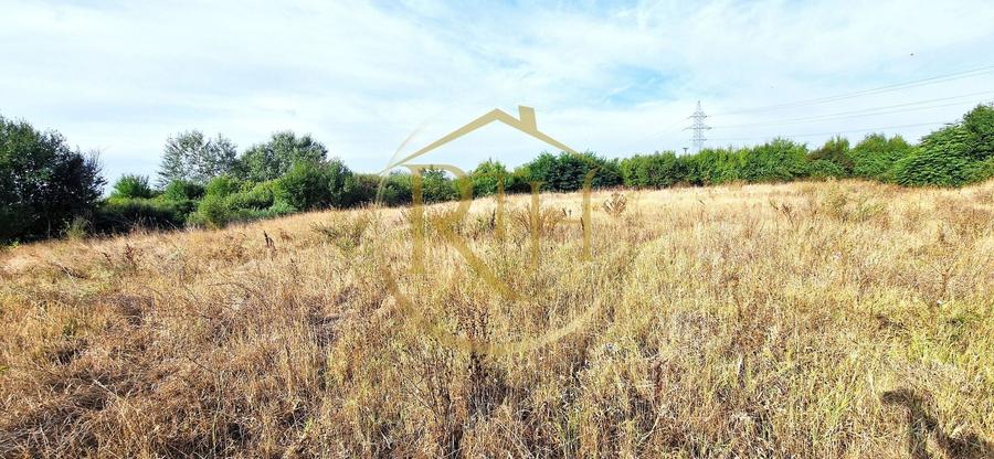 Teren agricol extravilan de 11273 mp, în Plopi
