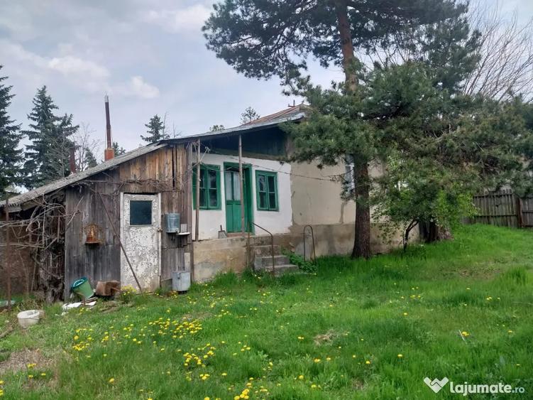 Casă cu 3 camere în Boghești
