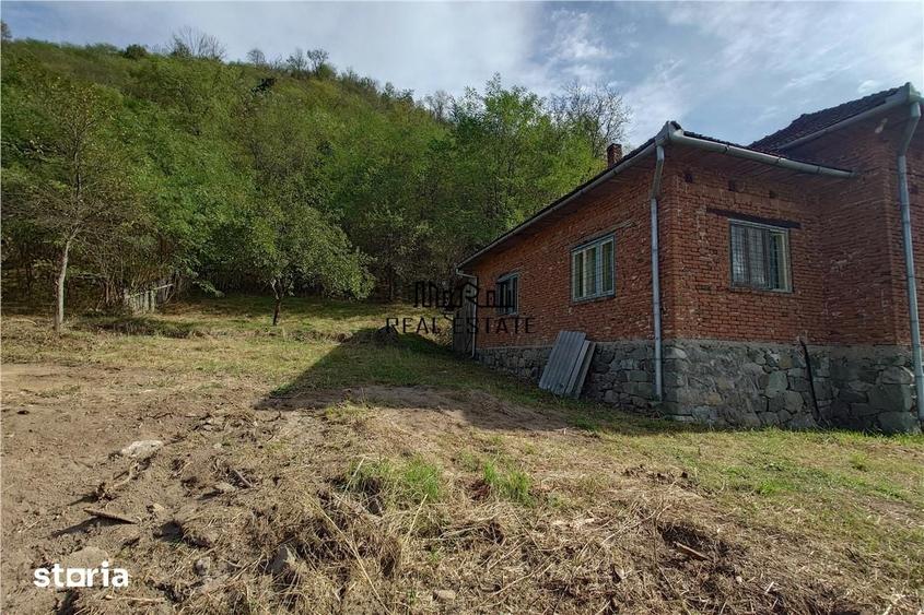 Casă cu 4 camere cu Teren 9563 Mp în Dumbrava