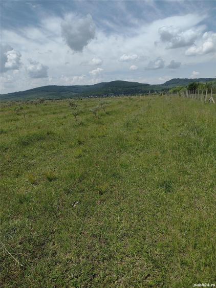 Teren de 50000 mp, în Jelna