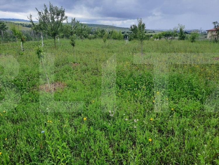 Teren Construcții intravilan de 2066 mp, în Sopor