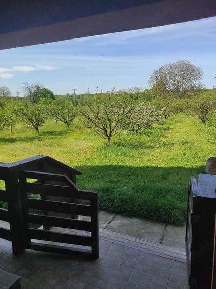 Casă cu Teren 3560 Mp în Tufeni
