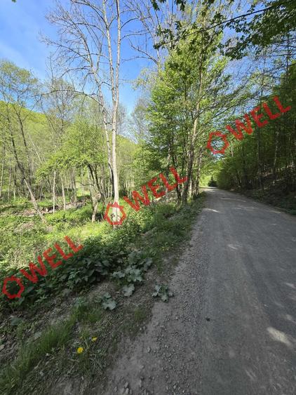 Teren extravilan de 5600 mp, în Filia
