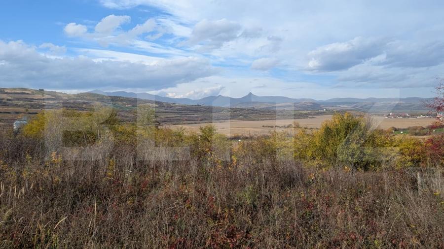 Teren agricol extravilan de 1000 mp, în Șard
