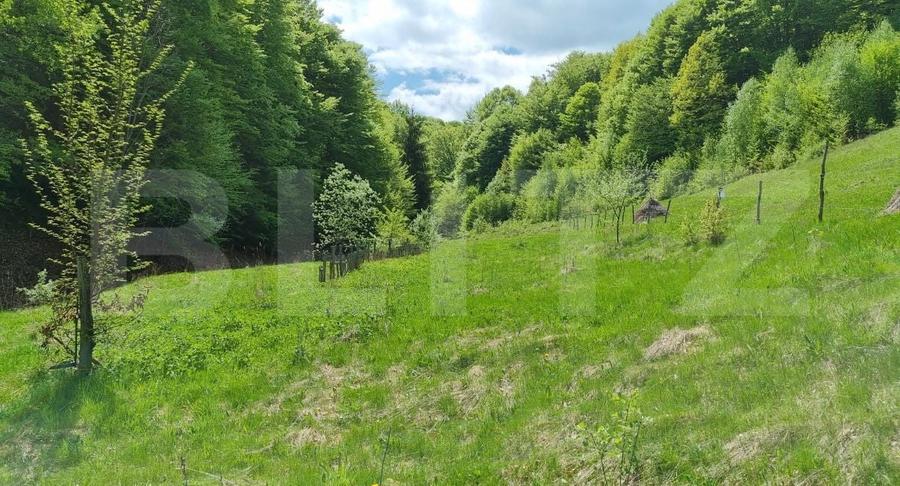 Teren agricol extravilan de 5400 mp, în Iara