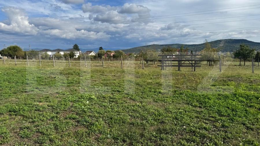 Teren Construcții intravilan de 1400 mp, în Unirea