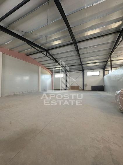Spațiu industrial, de 300 mp, în Moșnița Nouă