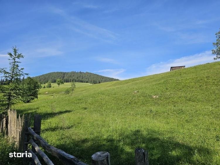 Teren intravilan de vanzare in Bucovina zona Breaza - 4
