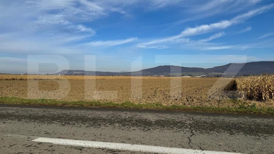 Teren Construcții intravilan de 5300 mp, în Arcalia