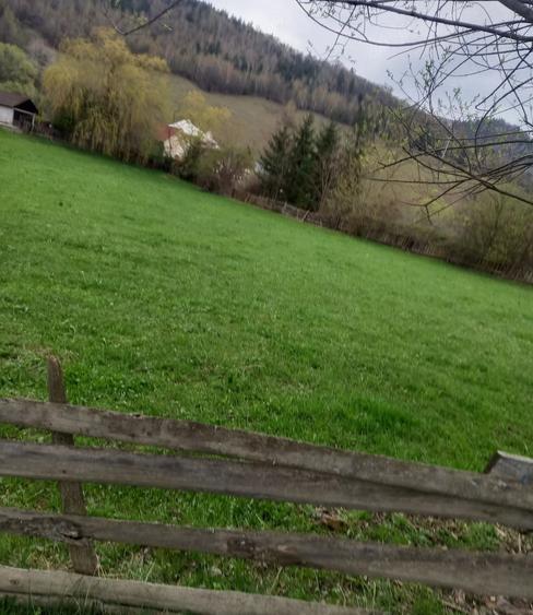 Teren de 2990 mp, în Molid