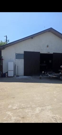 Casă individuală cu 4 camere cu Teren 2000 Mp în Pecineaga