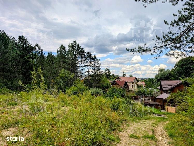 Teren intravilan pentru constructie casa in Cheile Baciului - 3