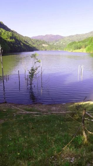 Teren de 50000 mp, în Central