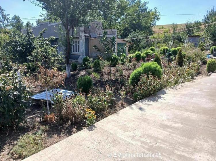 Casă cu 4 camere cu Teren 3300 Mp în Central