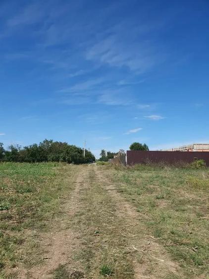 Teren de 1300 mp, în Clejani