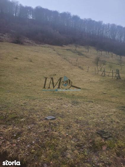 Teren de 1203 mp, în Pianu