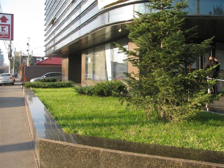 Birou, de 52 mp, în Barbu Văcărescu