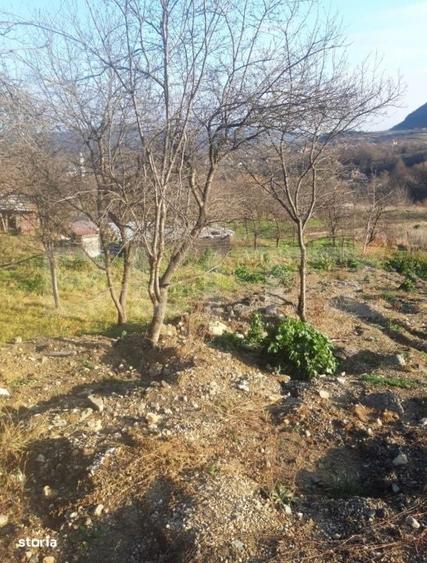 Spațiu comercial, în Moigrad-Porolissum