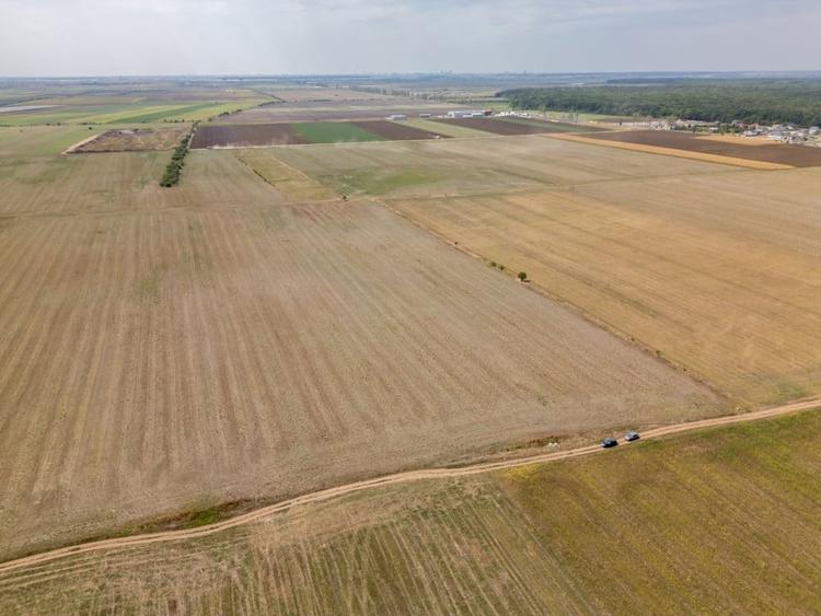 Teren Construcții intravilan de 7500 mp, în Dascălu