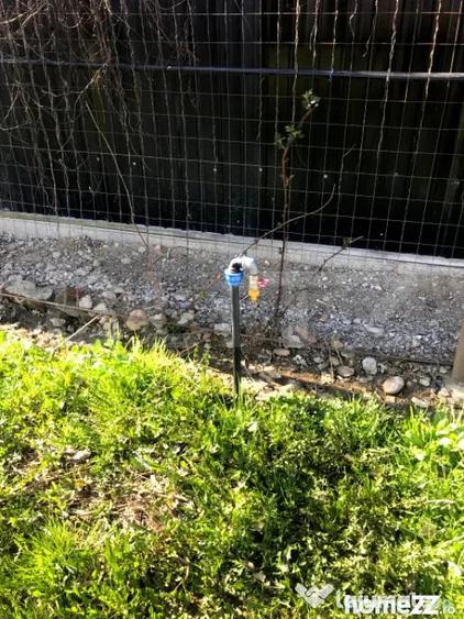 Teren în Voinești
